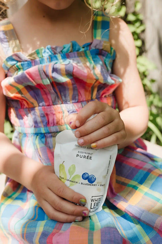 Understanding Chemicals in Food: Common Additives to Avoid—Without the Overwhelm