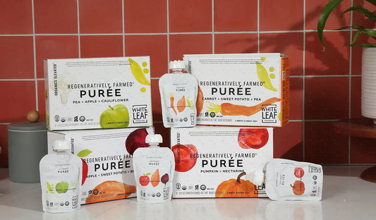different flavors of white leaf provisions organic baby food puree pouches