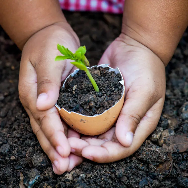 hands holding sprout in soil - what is regenerative agriculture?