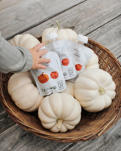 pumpkin baby food pouches
