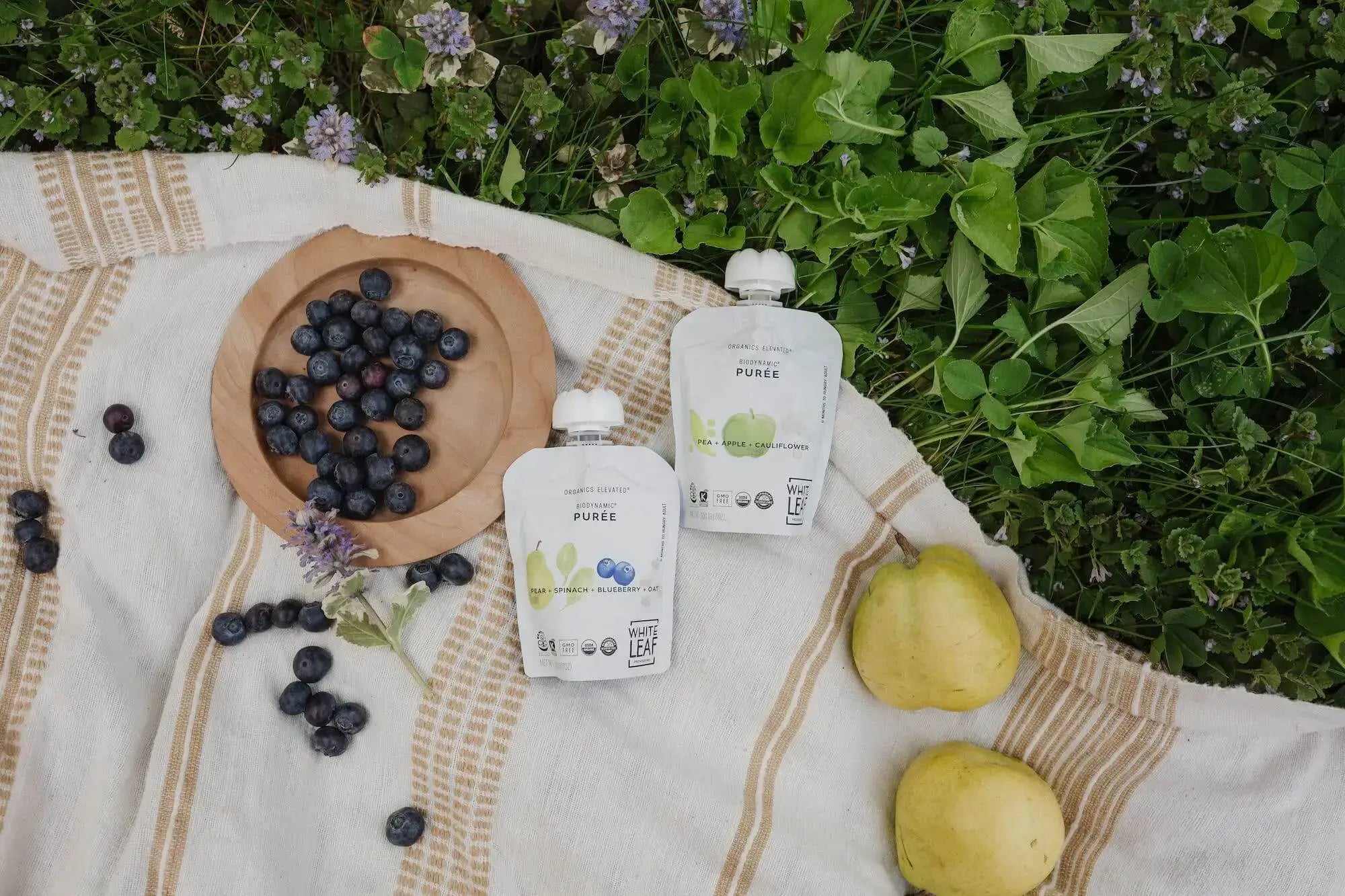 baby food pouches from white leaf provisions